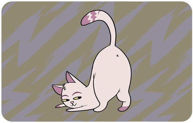pisica-4